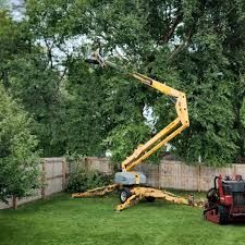 Best Lawn Watering Services  in Cowan, TN